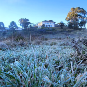 Serra Catarinense registra geada e temperaturas negativas