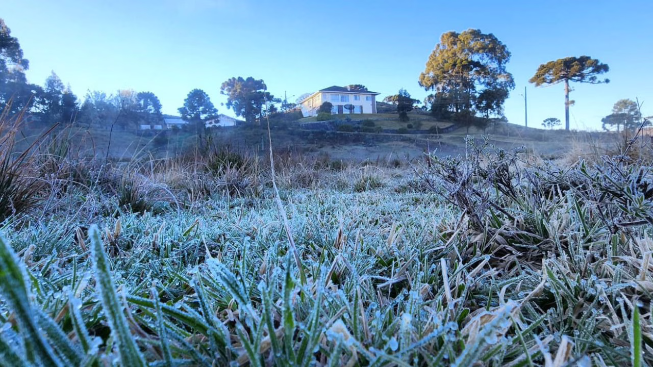 Serra Catarinense registra geada e temperaturas negativas | Foto: Mycchel Legnaghi