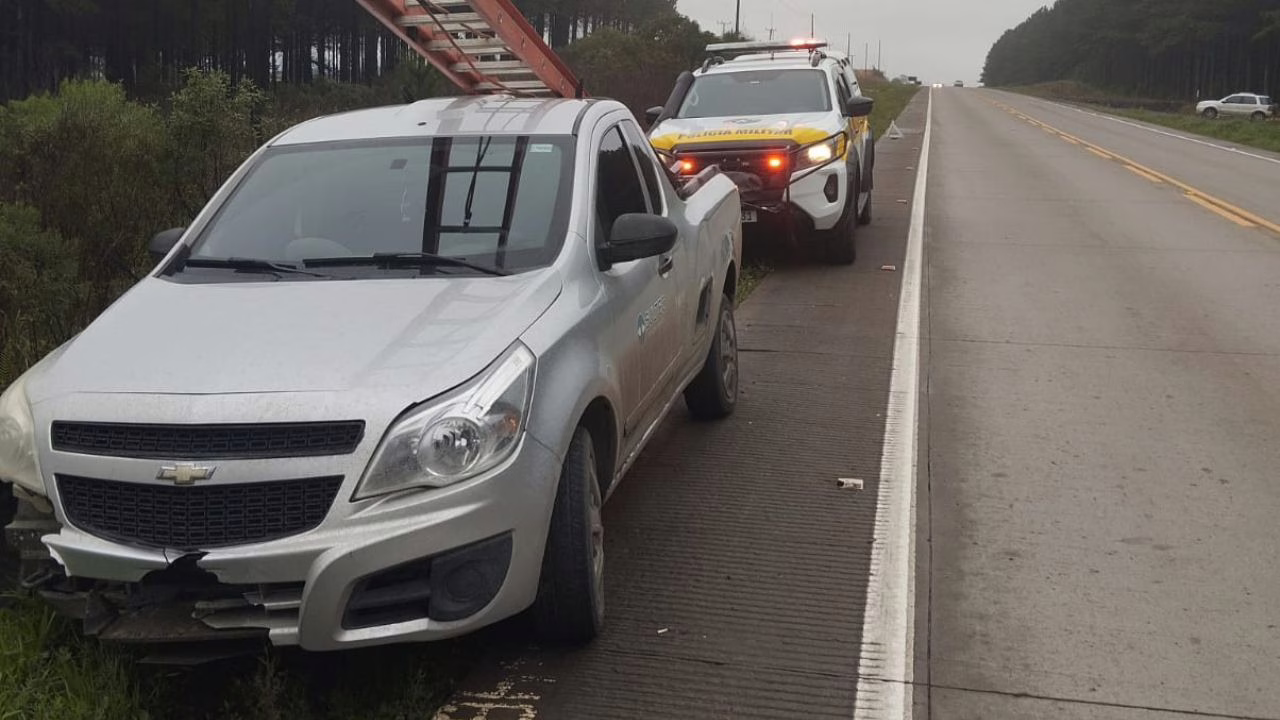 Veículo atropela cervo na SC-114, em Lages | Foto: PMRv Serra
