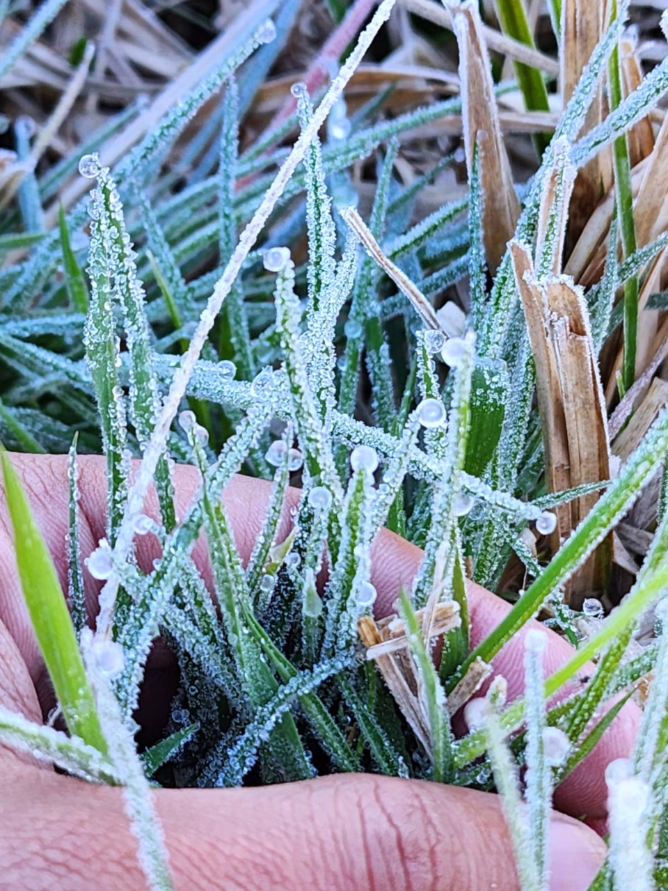 Temperaturas negativas na serra