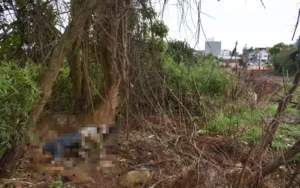 Adolescente é apreendido em SC após matar homem com garrafa quebrada