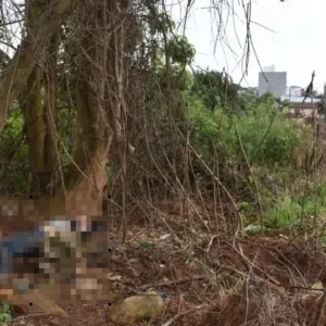 Adolescente é apreendido em SC após matar homem com garrafa quebrada | Imagem: Polícia Civil/Reprodução