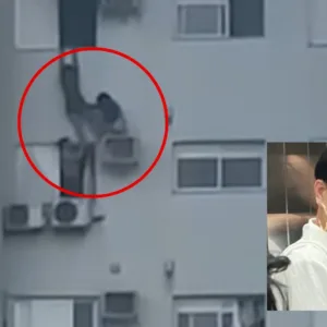 Mulher resgatada pela filha durante incêndio em apartamento deixa a UTI - Imagem: reprodução/ SBT
