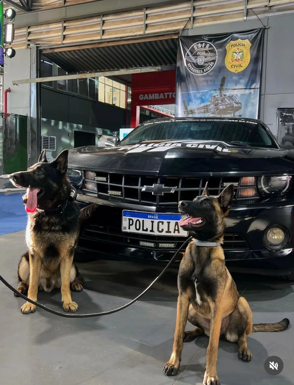 Carro de luxo apreendido em operação é exibido na Efapi 2025