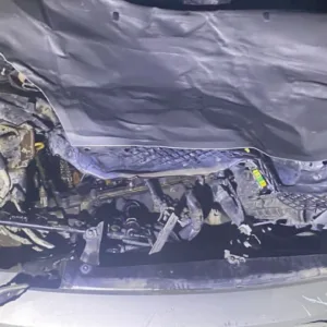 Colisão entre carro e bovino na BR-282 deixa motorista ferido em Bom Retiro