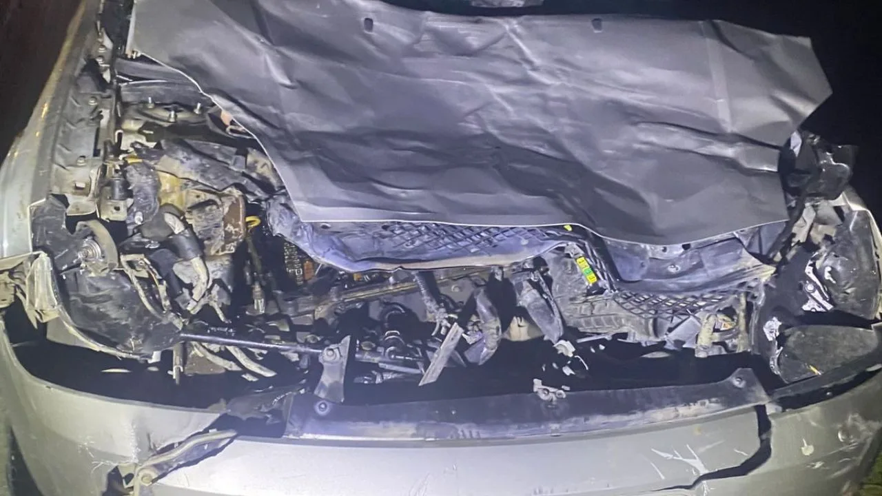 Colisão entre carro e bovino na BR-282 deixa motorista ferido em Bom Retiro | Foto: 5º BBM