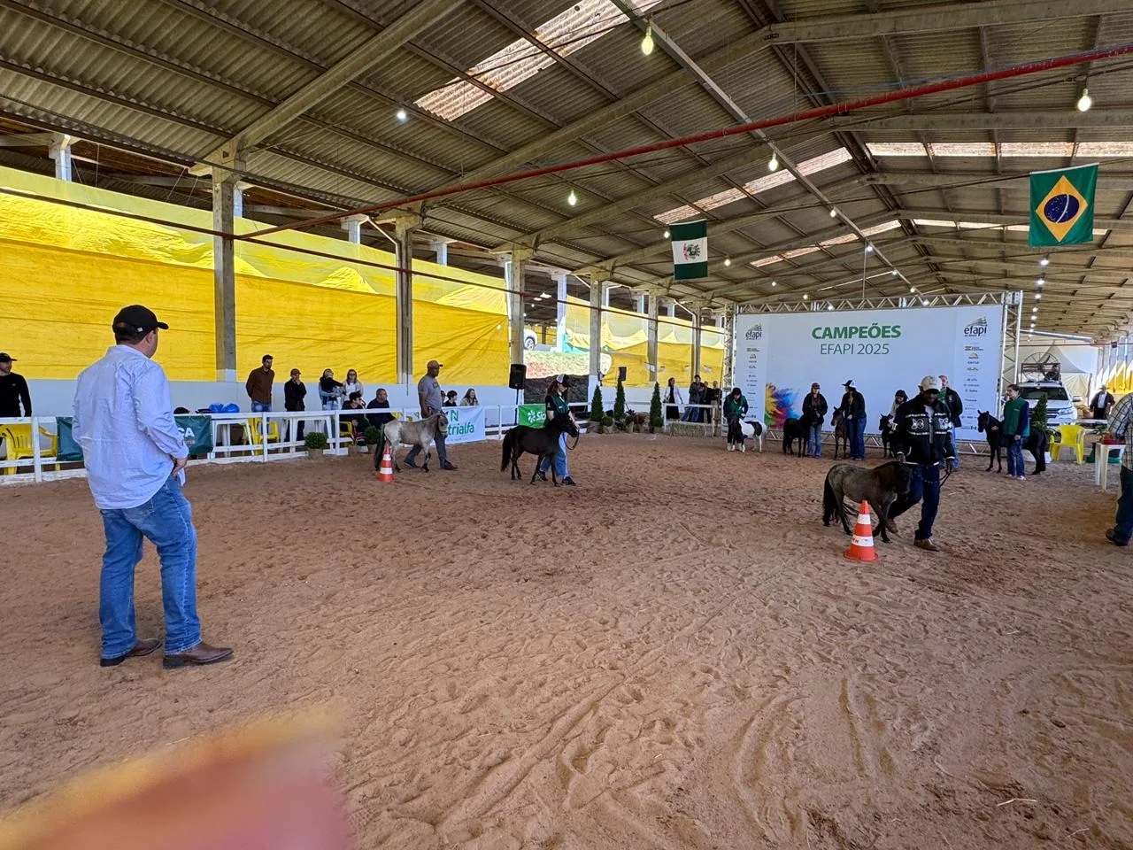 Efapi do Brasil recebe Campeonato Nacional do Mini-Horse