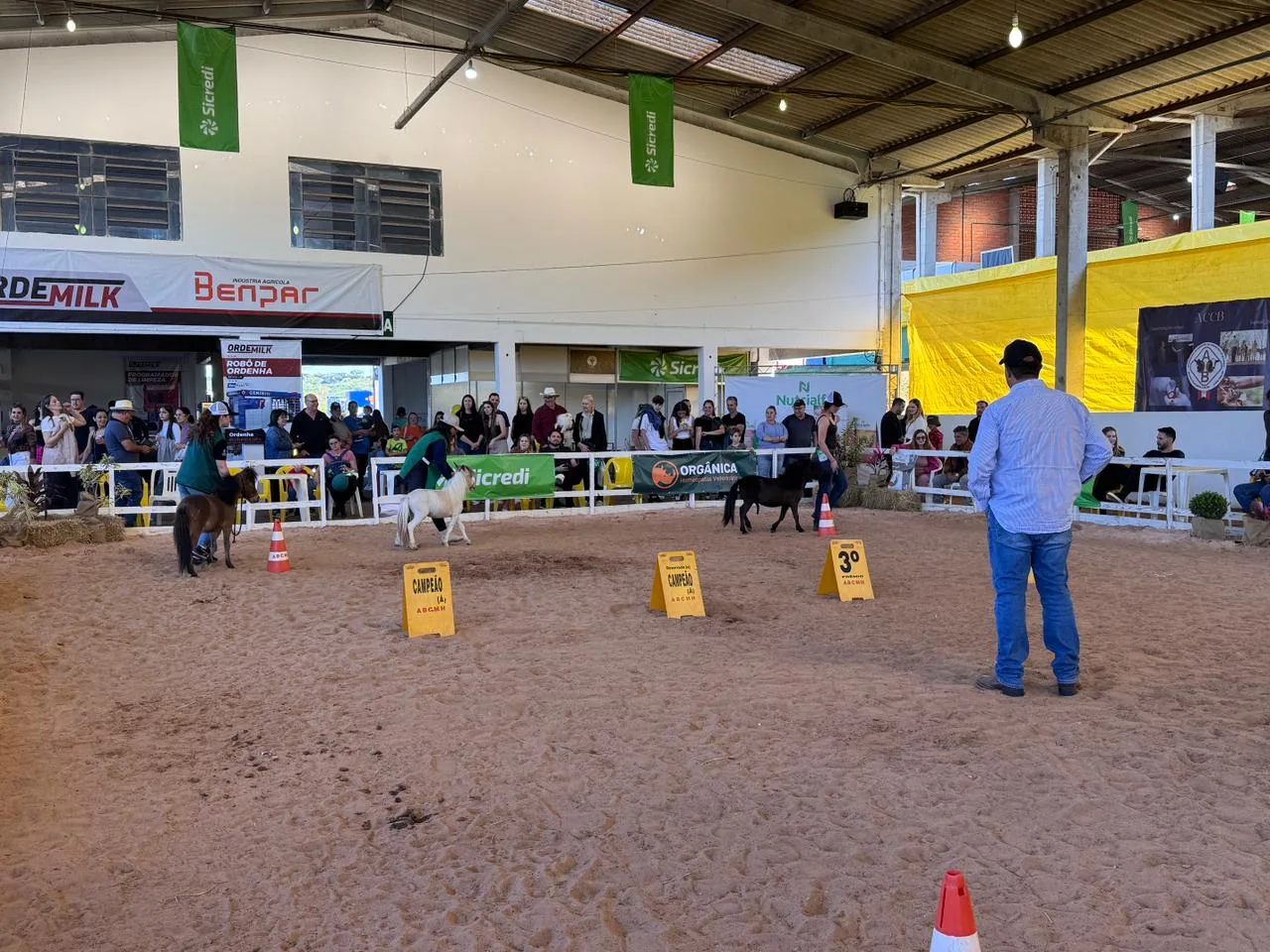 Efapi do Brasil recebe Campeonato Nacional do Mini-Horse