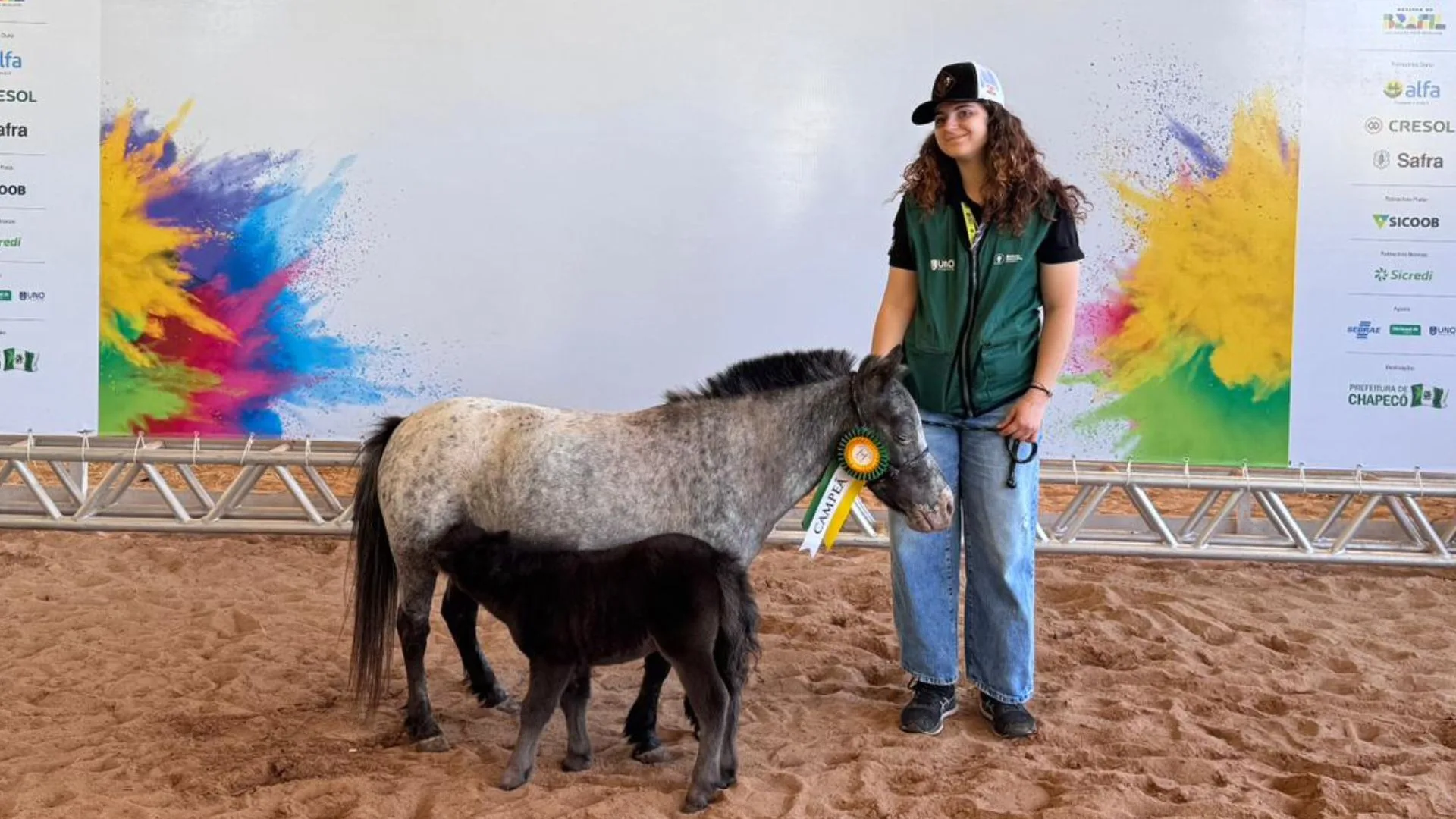 Efapi do Brasil recebe pela primeira vez o Campeonato Nacional do Mini-Horse | Imagem: Prefeitura de Chapecó/Reprodução
