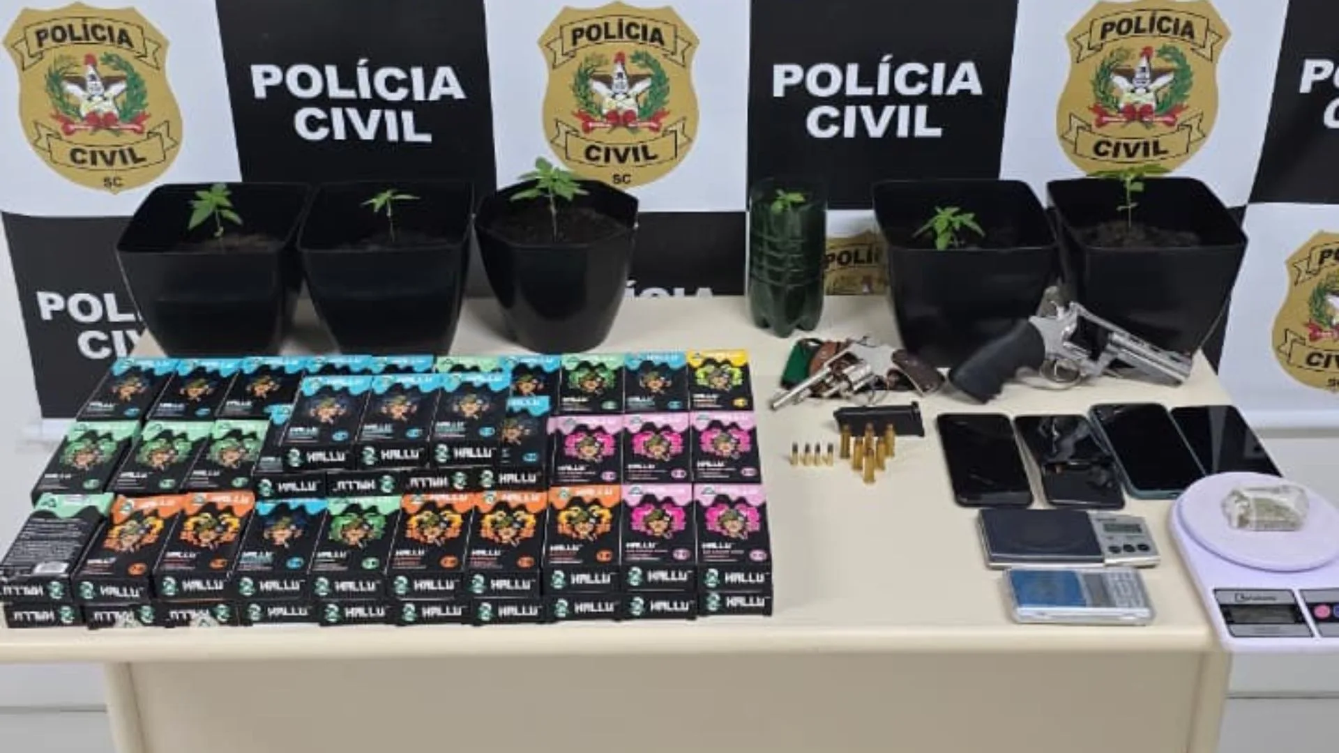 Esquema de tráfico interestadual de drogas entre PRSC é desarticulado | Imagem: Polícia Civil/Reprodução