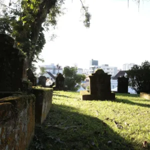 Foto: Prefeitura de Joinville/Divulgação