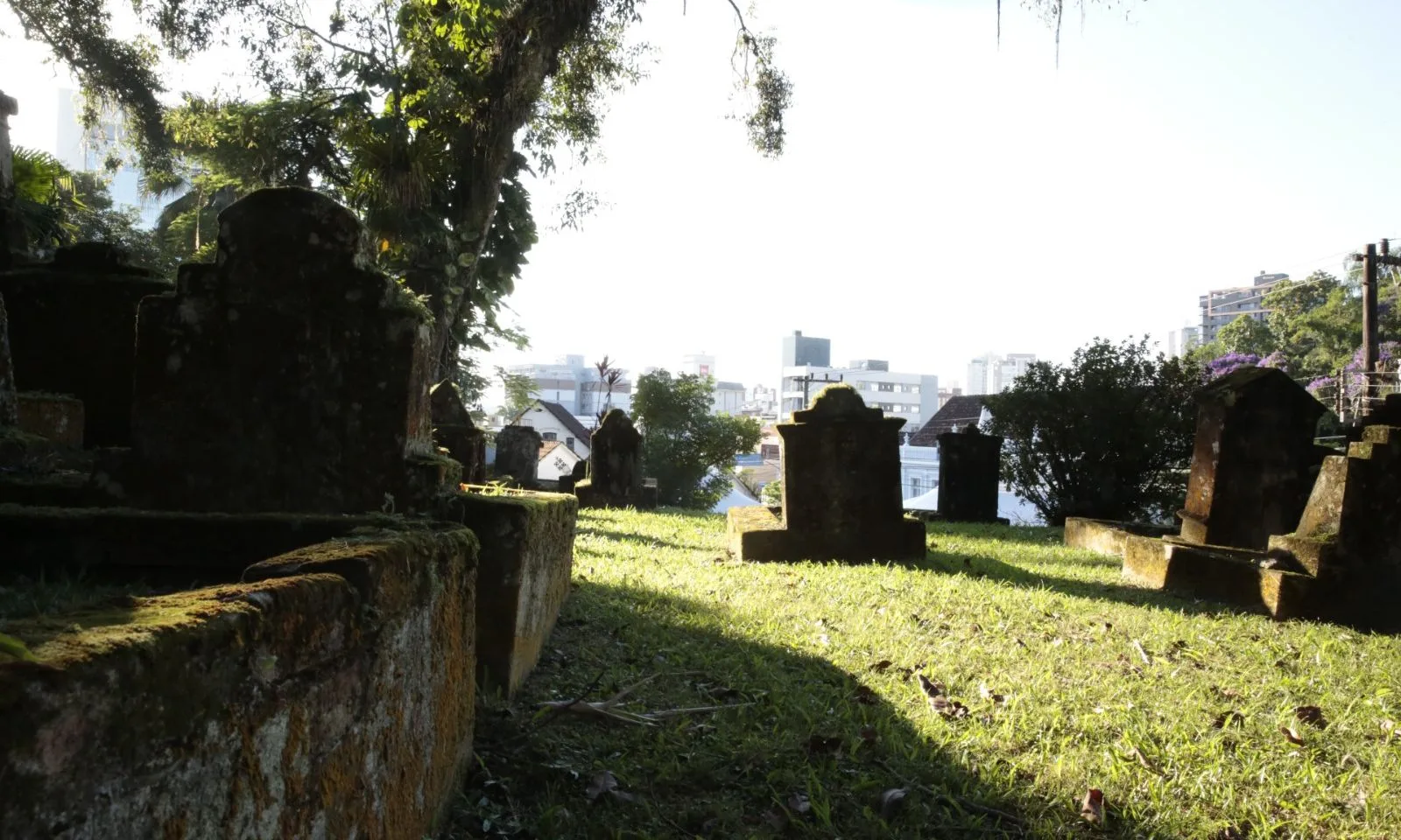 Foto: Prefeitura de Joinville/Divulgação Foto: Prefeitura de Joinville/Divulgação