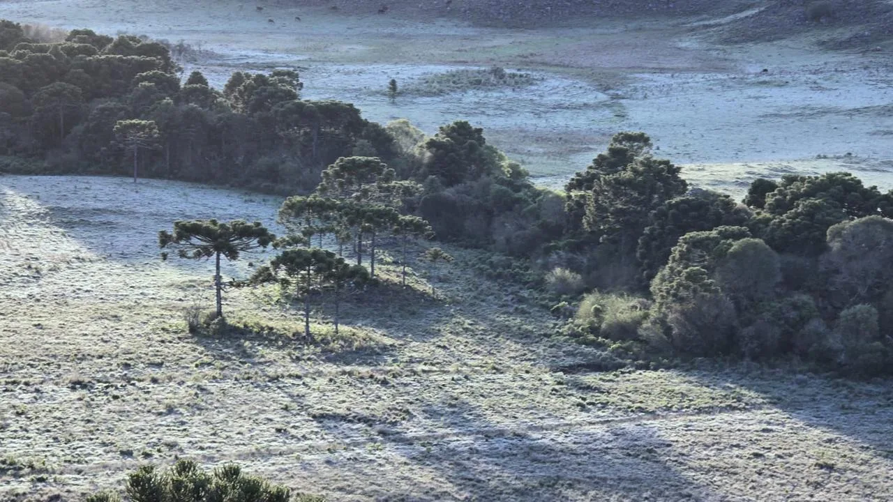 Geada em outubro! Paisagem fica branca na Serra de SC; veja imagens