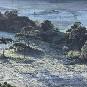 Geada em outubro! Paisagem fica branca na Serra de SC; veja imagens | Foto: Mycchel Legnaghi 
