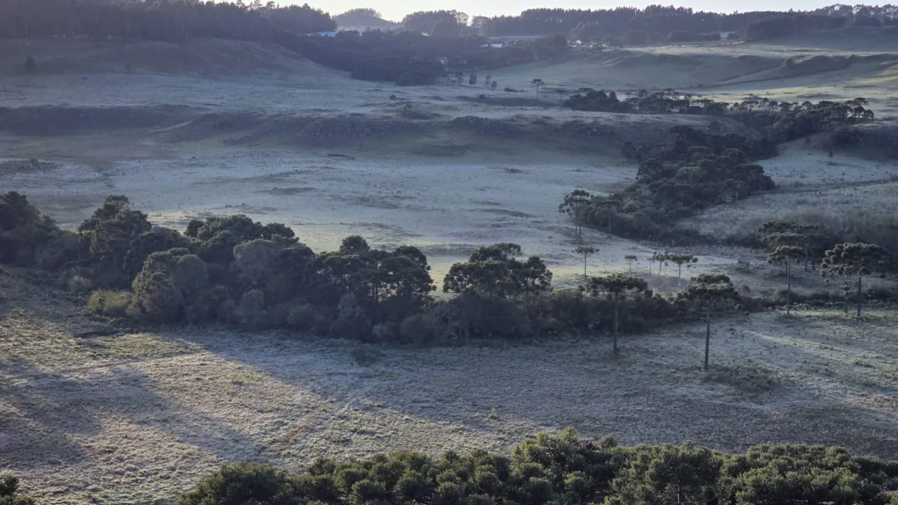 Geada em outubro! Paisagem fica branca na Serra de SC; veja imagens