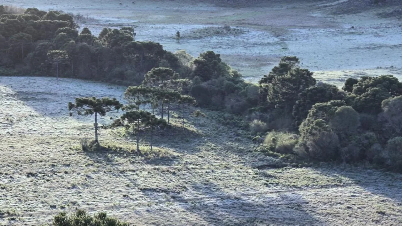 Geada em outubro! Paisagem fica branca na Serra de SC; veja imagens | Foto: Mycchel Legnaghi 