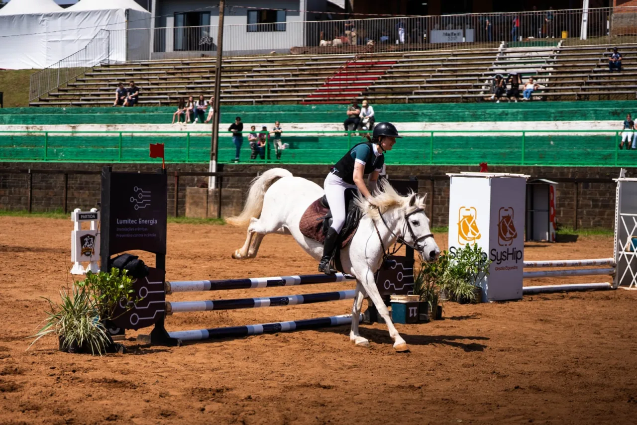 Hipismo estreia na Efapi do Brasil e encanta o público