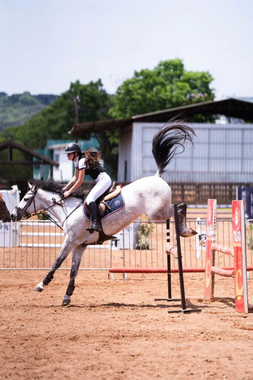 Hipismo estreia na Efapi do Brasil e encanta o público