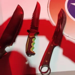 Homem ameaça matar esposa e filha bebê a facadas em SC