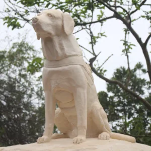 Ice, o primeiro cão guarda-vidas do Brasil, ganha monumento em SC | Foto: Reprodução/Redes Sociais 