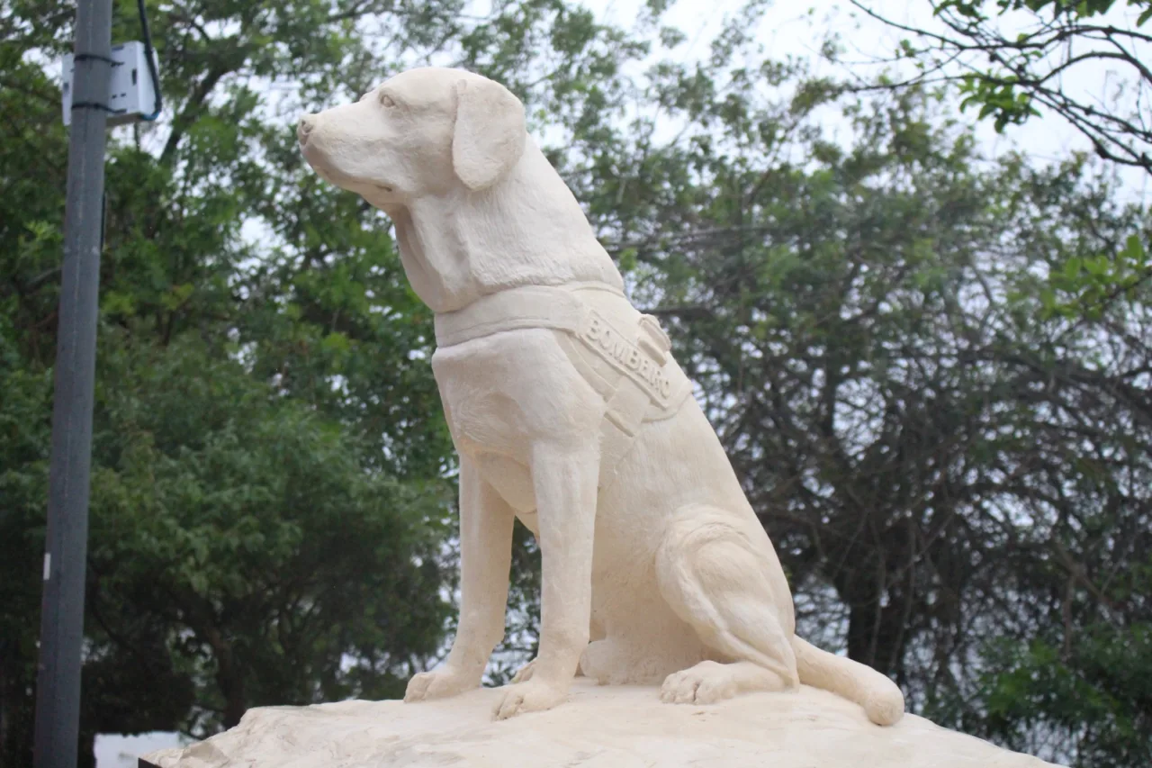 Ice, o primeiro cão guarda-vidas do Brasil, ganha monumento em SC (2)