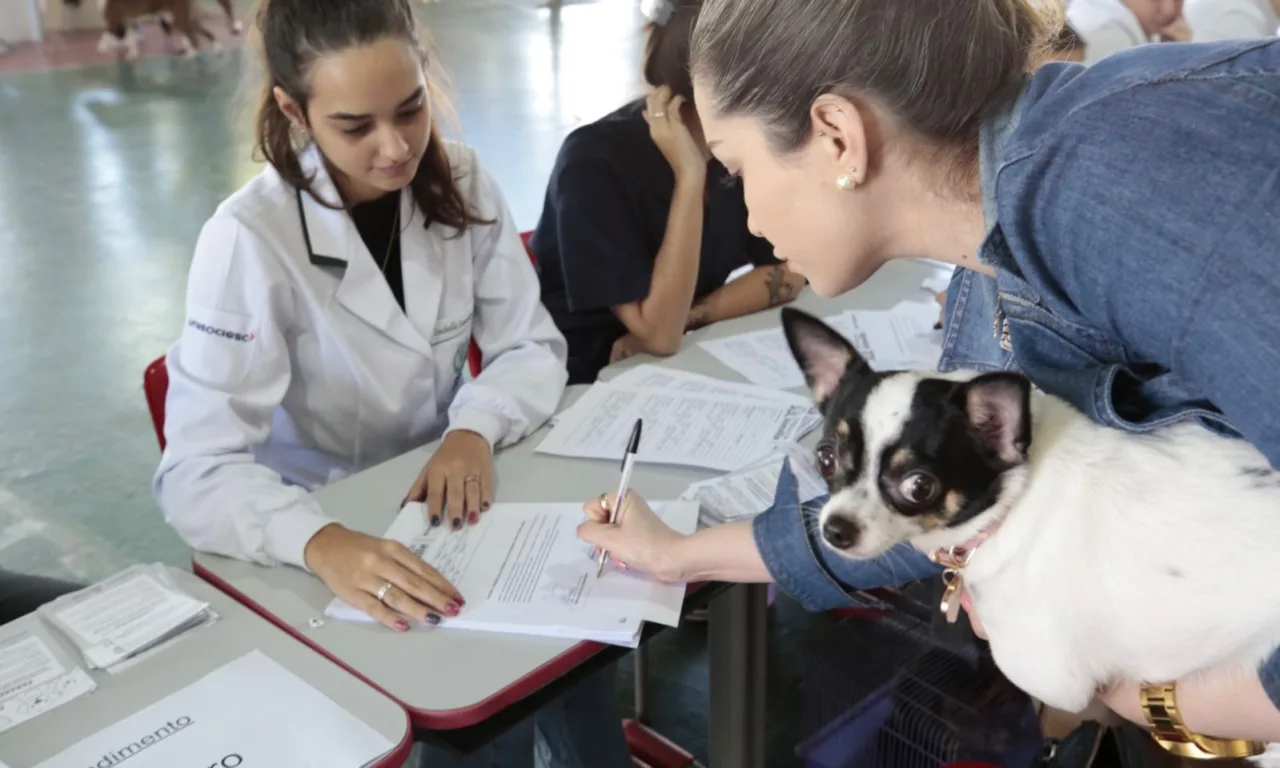 Joinville promove mutirão gratuito de microchipagem de cães e gatos no sábado