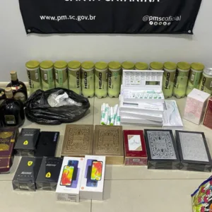 Mercadorias contrabandeadas do Paraguai são apreendidas na BR-282