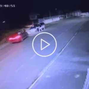 Homem é atropelado e atacado a pauladas na frente de prédio da polícia em SC