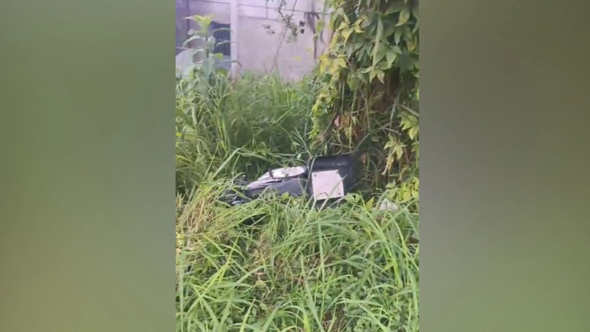 Foto: Bombeiros Voluntários de Indaial/Reprodução Foto: Bombeiros Voluntários de Indaial/Reprodução