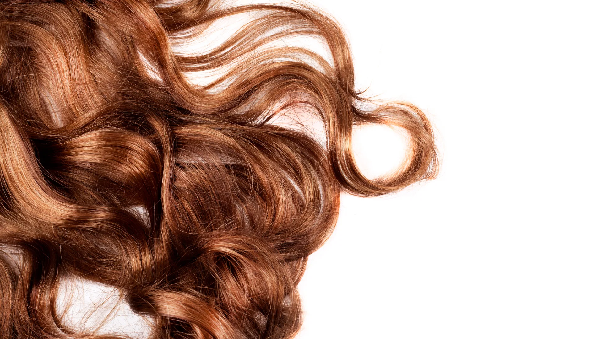 Qual é o seu tipo de cabelo? Descubra e aprenda a cuidar dos fios. | Foto: Reprodução Qual é o seu tipo de cabelo? Descubra e aprenda a cuidar dos fios. | Foto: Reprodução
