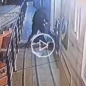 Imagens fortes! Homem é executado com bebê no colo em Florianópolis | Foto: Cedido ao SCC10/Reprodução
