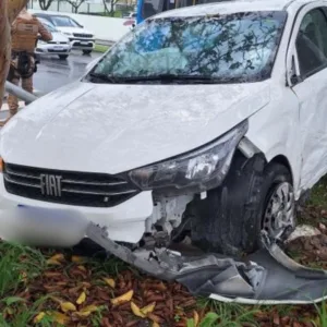 Motorista em fuga causa acidentes e é preso com 23 tabletes de maconha em SC - Imagem: cedido