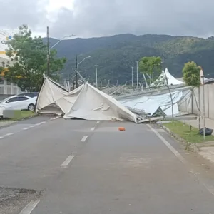 Ventos fortes causam quedas de árvores e destelhamentos em Florianópolis - Imagem: cbmsc