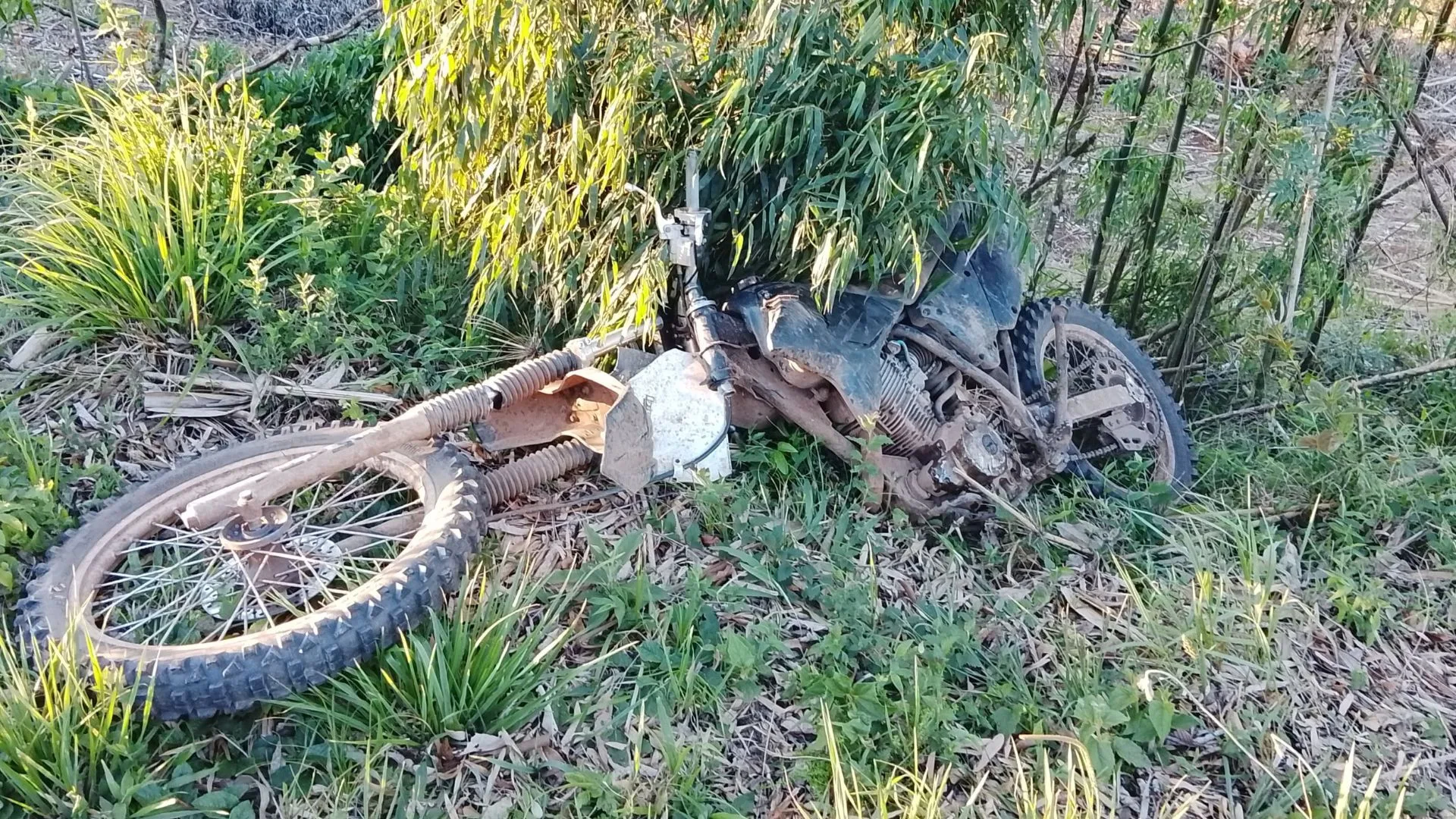 Motociclista fica gravemente ferido em colisão na SC-473 – Imagem: reprodução/ CBMSC
