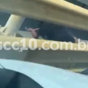 Homem é flagrado pela polícia furtando fios na ponte Pedro Ivo Campos
