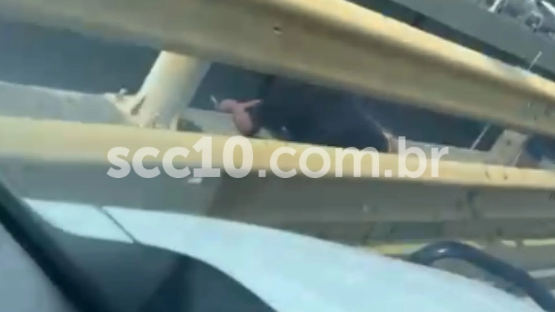Homem é flagrado pela polícia furtando fios na ponte Pedro Ivo Campos – Imagem: cedido Homem é flagrado pela polícia furtando fios na ponte Pedro Ivo Campos – Imagem: cedido