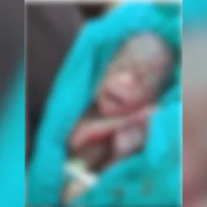 O que se sabe sobre recém-nascido que acordou no próprio velório | Foto: Redes sociais/Reprodução
