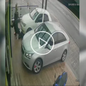 'Queria morrer também': vídeo mostra mulher sendo assassinada com mais de 20 facadas na Serra de SC