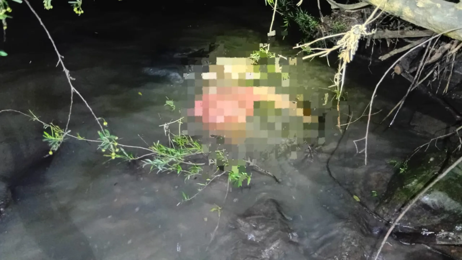 Corpo de homem é encontrado boiando em Rio de SC | Imagem: CBMSC