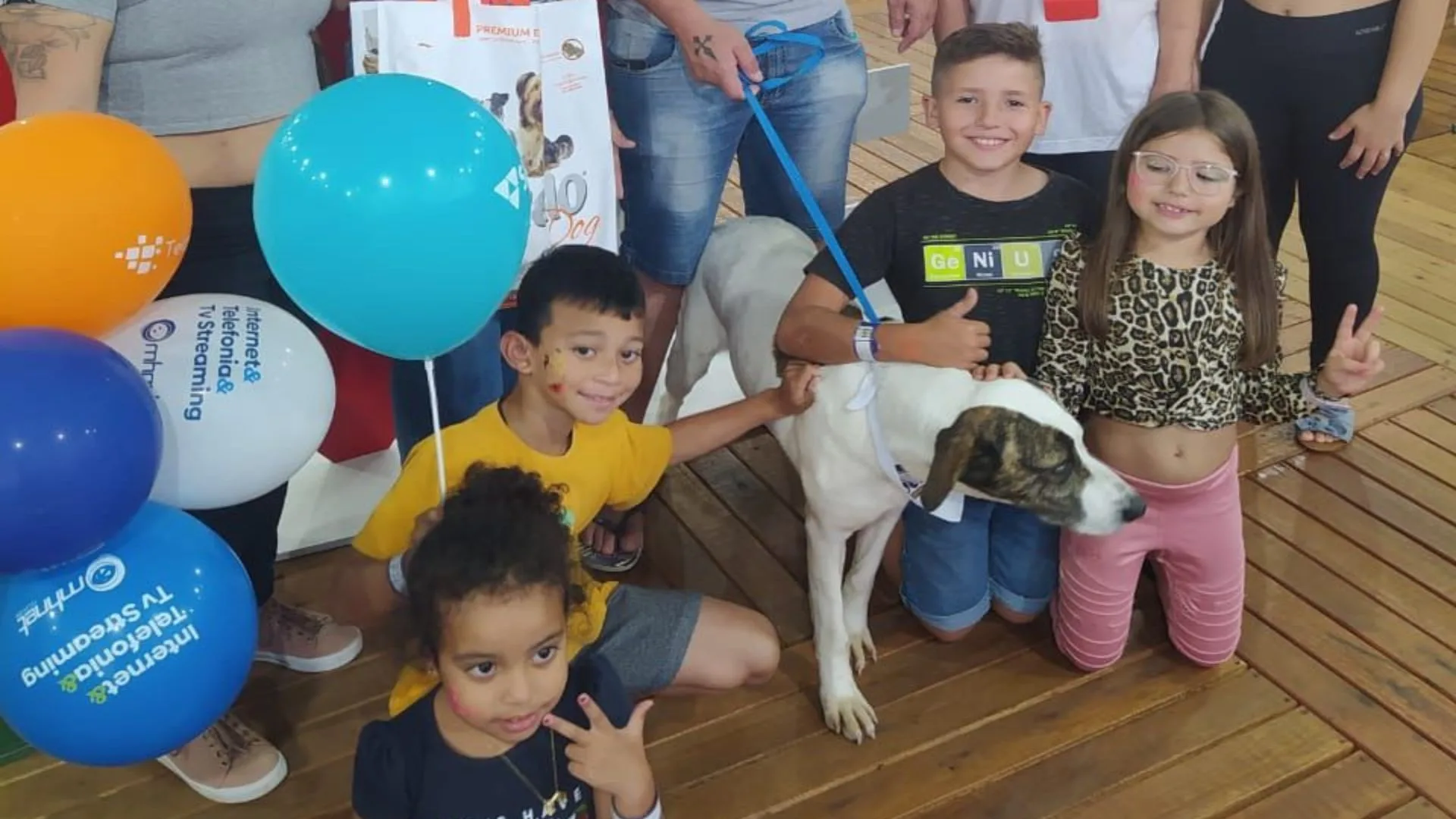 Efapi do Brasil vai ter espaço de adoção e proteção animal | Foto: divulgação. Efapi do Brasil vai ter espaço de adoção e proteção animal | Foto: divulgação.