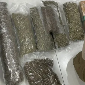 Passageiro morre na rodoviária de Florianópolis e polícia encontra 8 kg de drogas na bagagem