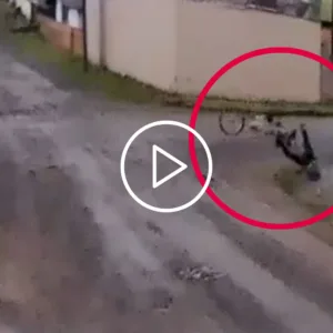 VÍDEO: idoso é arrastado e 'sai voando' após caminhão enroscar em fio na Serra de SC | Foto: Conselhos de Lageano/Reprodução