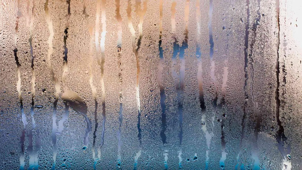 Semana começa gelada e com temperaturas negativas em SC | Foto: Banco de Imagens/Reprodução