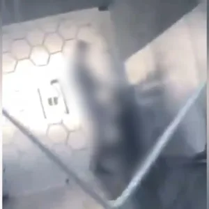Vídeo flagra alunos fazendo sexo em banheiro de universidade
