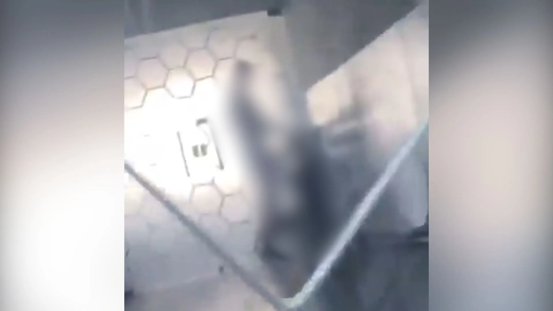 Vídeo flagra alunos fazendo sexo em banheiro de universidade | Foto: @NP__Oficial/Reprodução