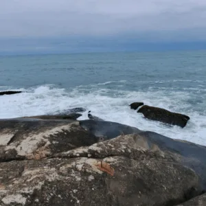 Pescador é salvo por surfista após cair em mar de SC | Imagem: Corpo de Bombeiros de SC