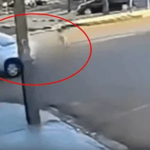 Criança atropelada fica debaixo do carro e sobrevive ‘por milagre' | Imagem: CGN