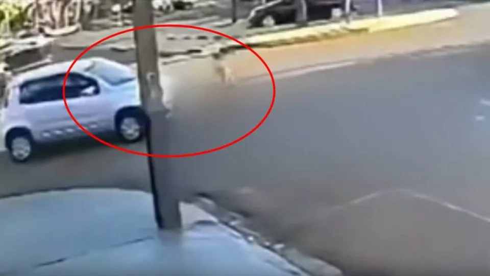 Criança atropelada fica debaixo do carro e sobrevive ‘por milagre’ | Imagem: CGN 