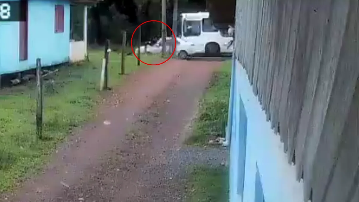VÍDEO: estudante de SC morre após ser atropelado ao descer de ônibus escolar | Imagem: Print/ Divulgação Cedido ao SCC10