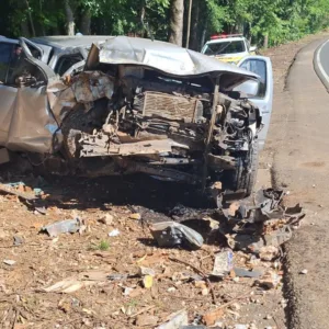 Veículo fica irreconhecível após bater em duas árvores em pequena cidade de SC